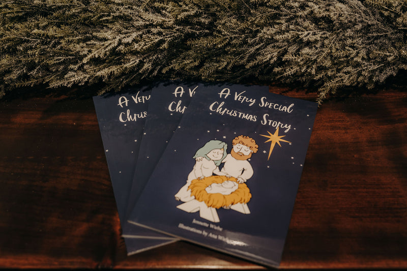 A Very Special Christmas Story - Bible Story Book
