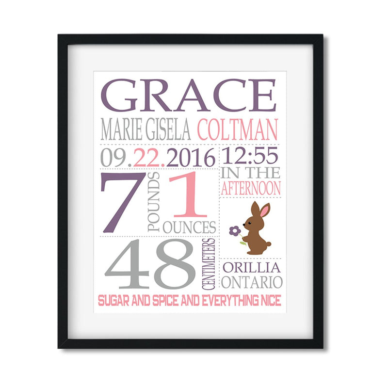 Baby Girl Stats - Art Print - Netties Expressions
